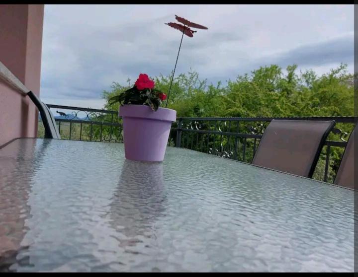 Apartman Hope Zmijavci Экстерьер фото